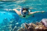 Classic History Alexandria red Sea Tours